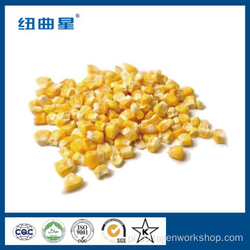 Wysokiej jakości liofilizowana słodka kukurydza